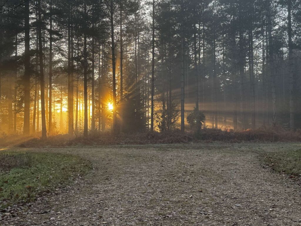 M&A UK Deal-Making In 2025 - A Year In Review